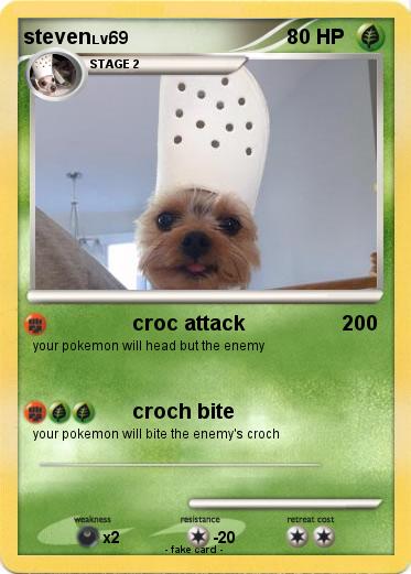 Pokemon steven