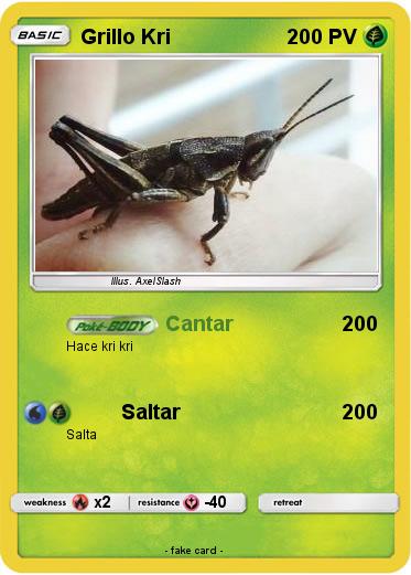 Pokemon Grillo Kri