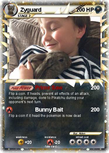 Pokemon Zyguard