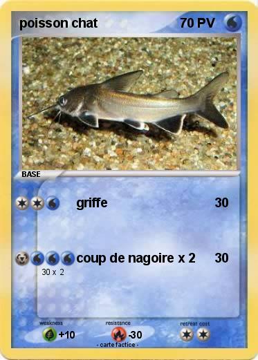 Pokemon poisson chat