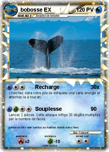 Pokemon bobosse EX