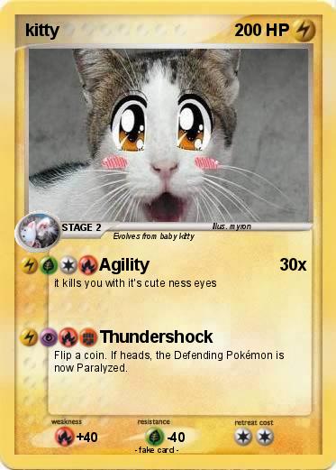 Pokemon kitty