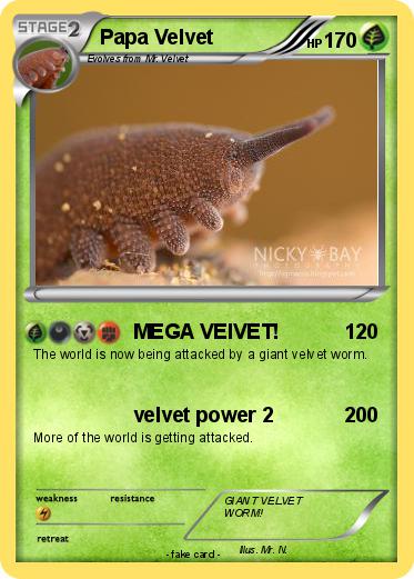 Pokemon Papa Velvet