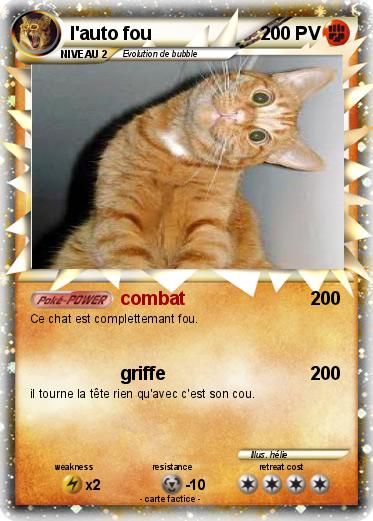 Pokemon l'auto fou