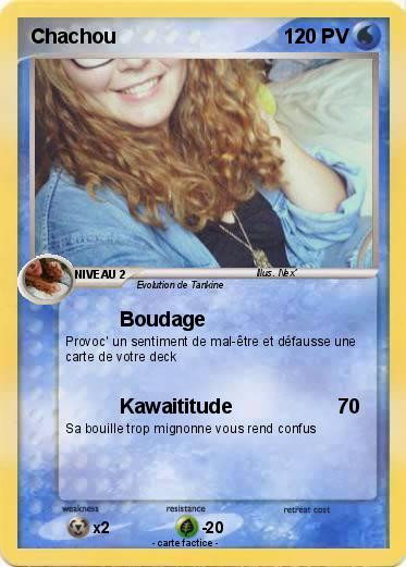 Pokemon Chachou