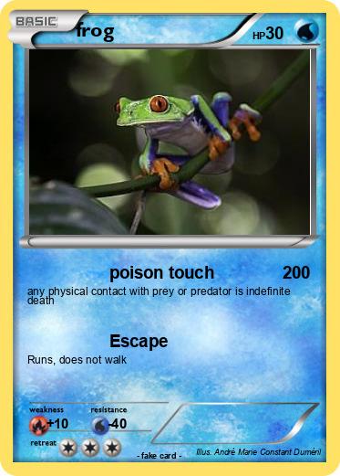 Pokemon frog