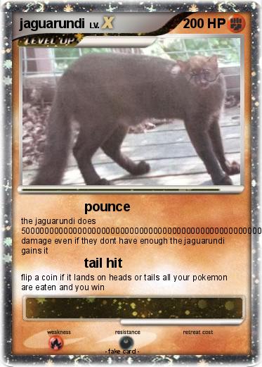 Pokemon jaguarundi