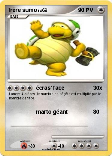 Pokemon frère sumo