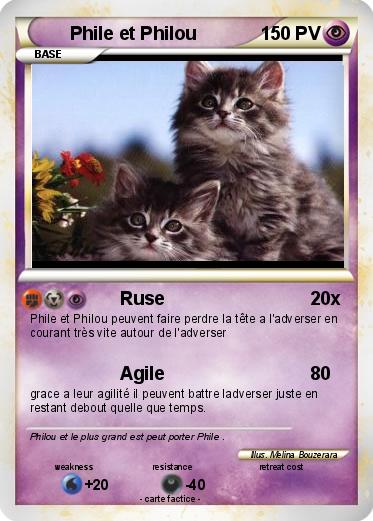 Pokemon Phile et Philou