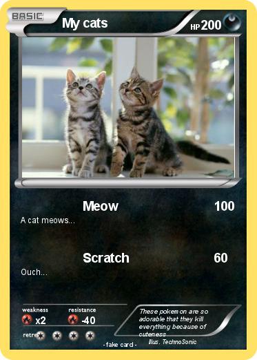 Pokemon My cats