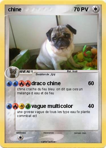 Pokemon chine