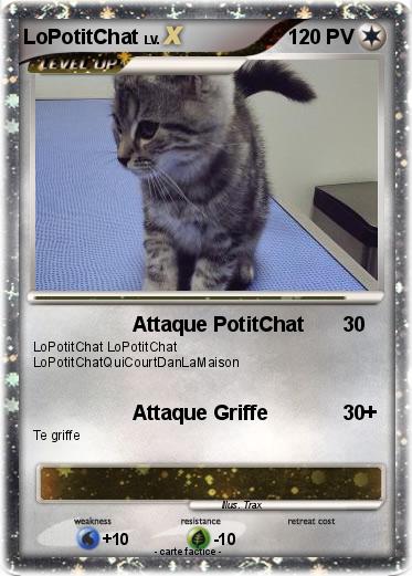 Pokemon LoPotitChat