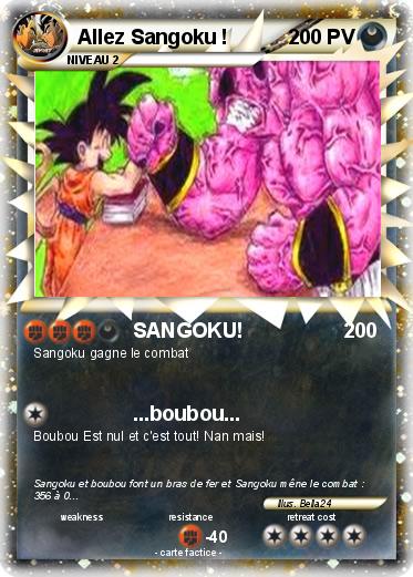 Pokemon Allez Sangoku !