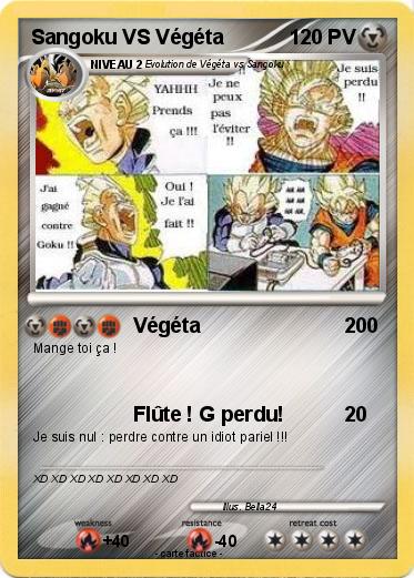 Pokemon Sangoku VS Végéta