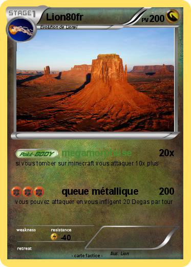 Pokemon Lion80fr