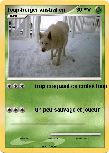 Pokemon loup-berger australien