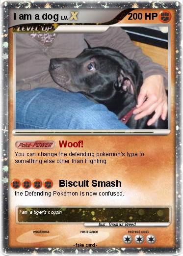 Pokemon i am a dog