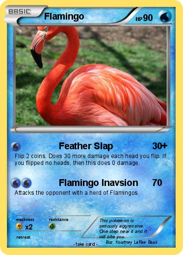 Pokemon Flamingo