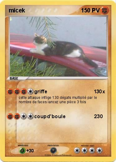 Pokemon micek                      