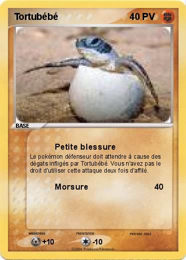 Pokemon Tortubébé