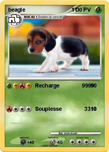 Pokemon beagle                               11