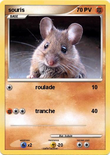 Pokemon souris