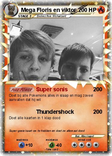 Pokemon Mega Floris en viktor