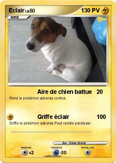 Pokemon Eclair