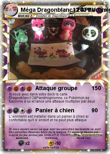 Pokemon Méga Dragonblanc12 &Pandamignonne