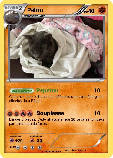 Pokemon Pétou