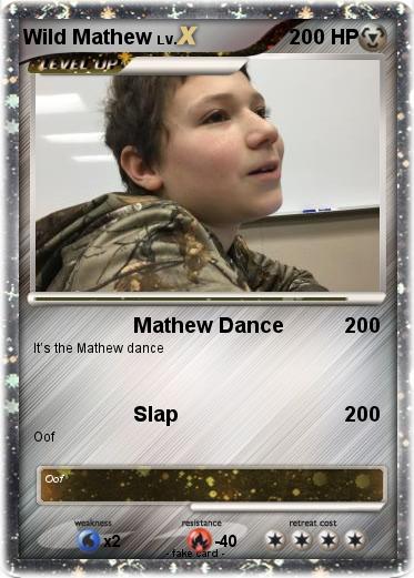 Pokemon Wild Mathew