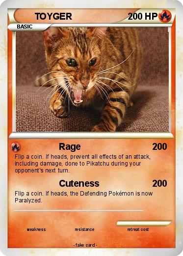 Pokemon TOYGER