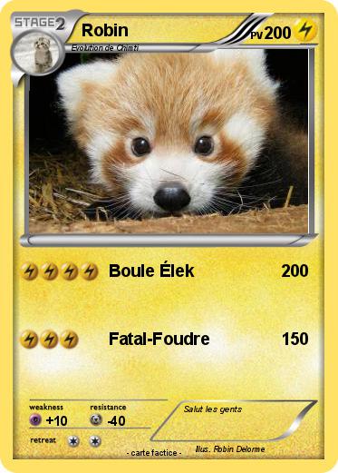 Pokemon Robin