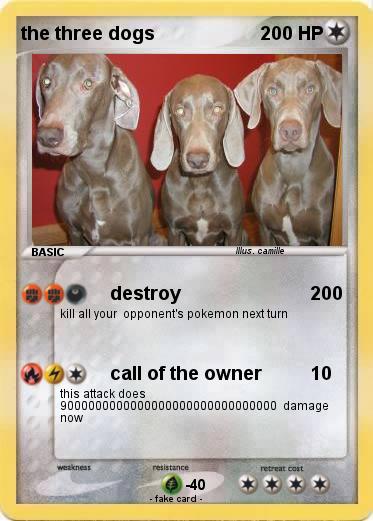 Pokemon the three dogs
