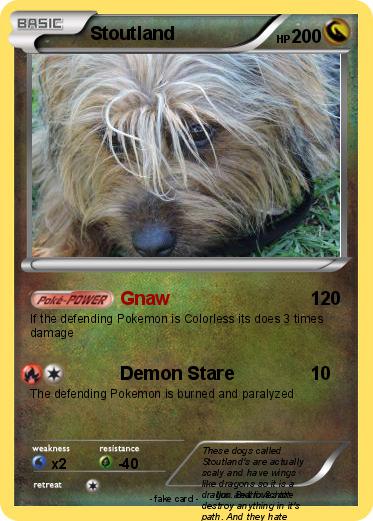 Pokemon Stoutland