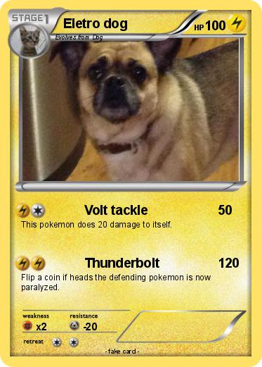 Pokemon Eletro dog