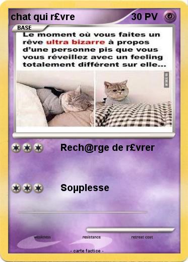 Pokemon chat qui r£vre