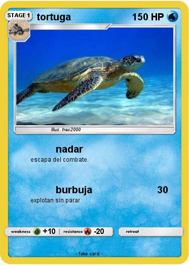 Pokemon tortuga