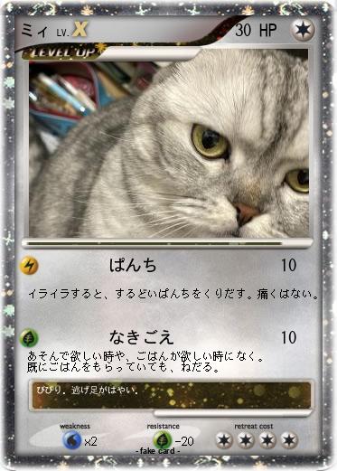 Pokemon ミィ