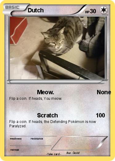 Pokemon Dutch