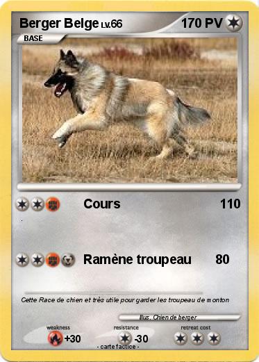 Pokemon Berger Belge
