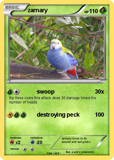 Pokemon zarnary