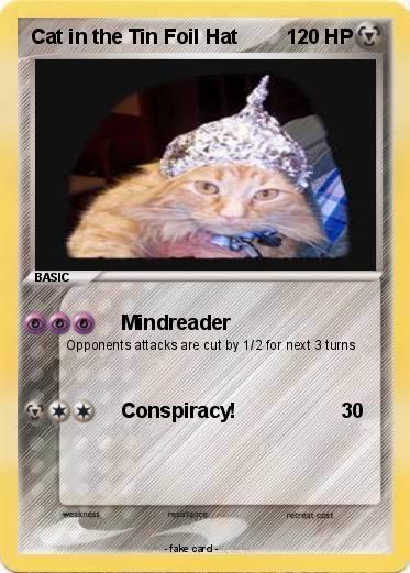 Pokemon Cat in the Tin Foil Hat