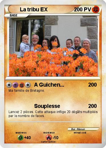 Pokemon La tribu EX