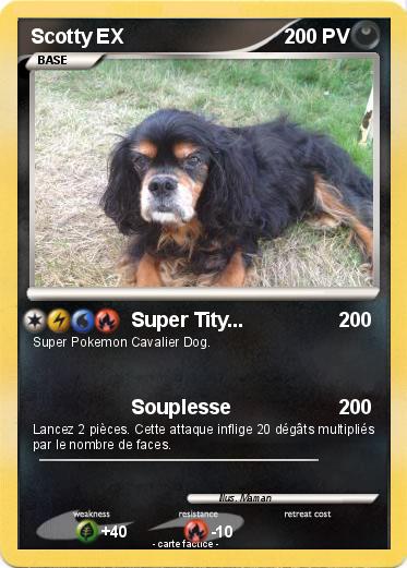 Pokemon Scotty EX