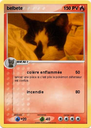 Pokemon belbete