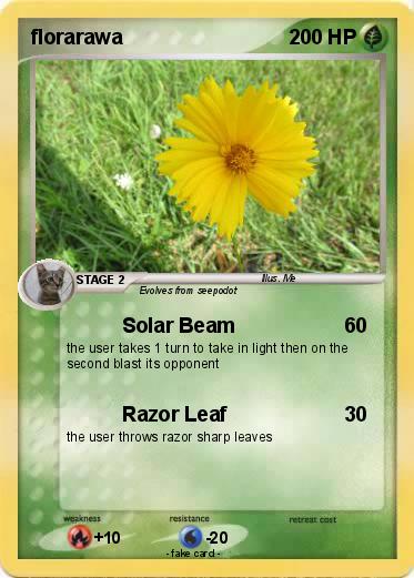 Pokemon florarawa