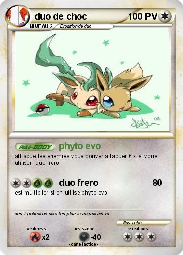 Pokemon duo de choc