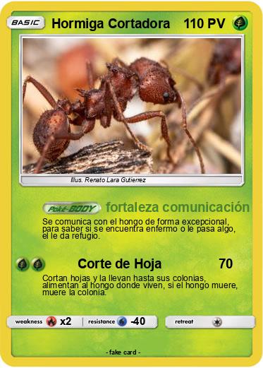 Pokemon Hormiga Cortadora
