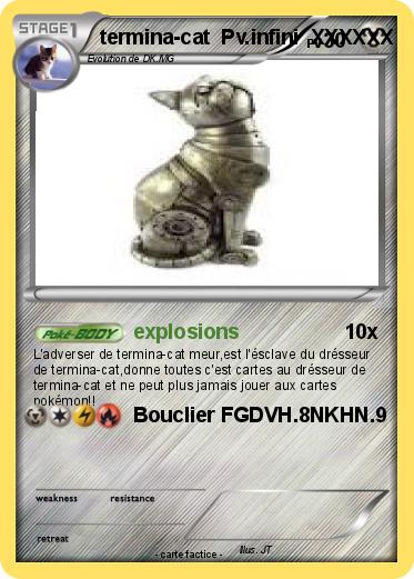 Pokemon termina-cat  Pv.infini  XXXXXX